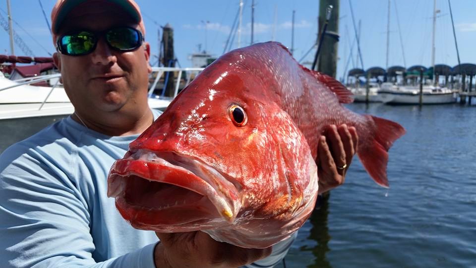 red snapper season florida 2021 red snapper season florida 2021
